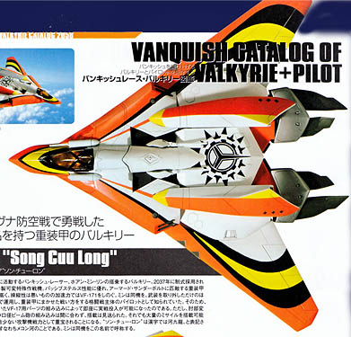 vf-17d-songcuulong-fighter