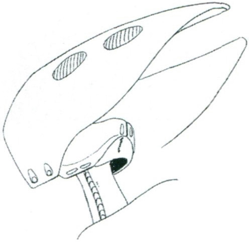 amx-004-shoulder